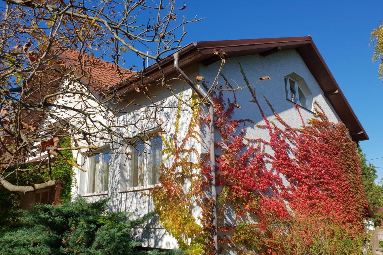 Villa Borowe Kt Warka Exterior foto