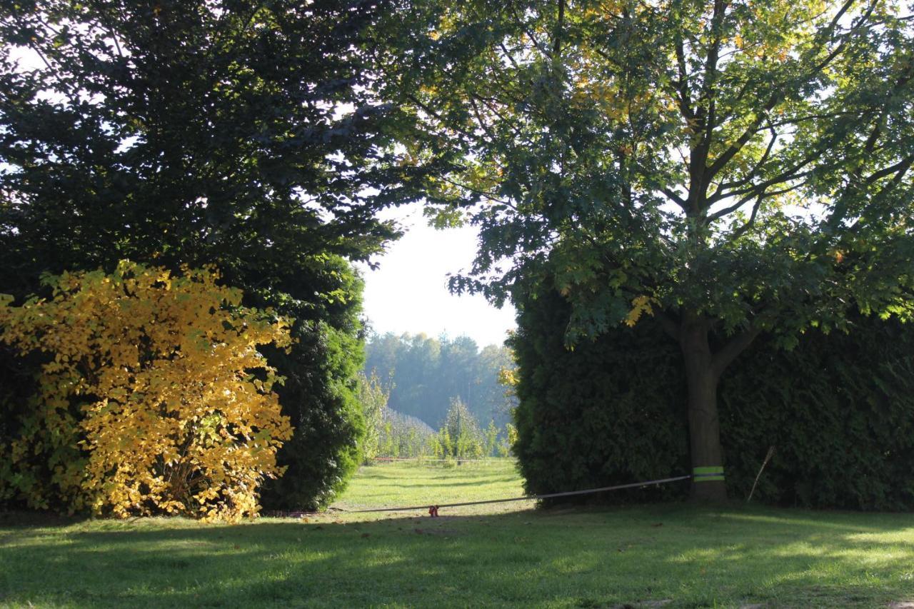 Villa Borowe Kt Warka Exterior foto